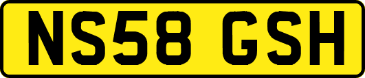 NS58GSH