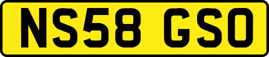 NS58GSO