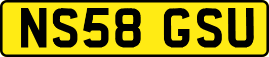 NS58GSU