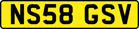 NS58GSV