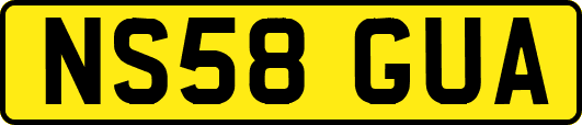 NS58GUA