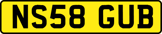 NS58GUB