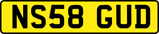 NS58GUD