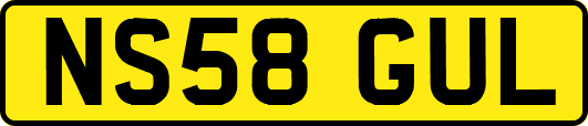 NS58GUL