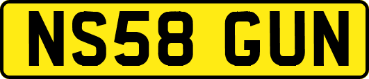 NS58GUN