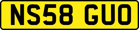 NS58GUO