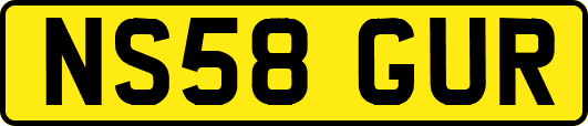 NS58GUR
