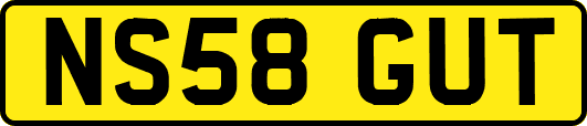 NS58GUT