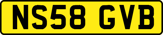 NS58GVB