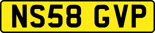 NS58GVP
