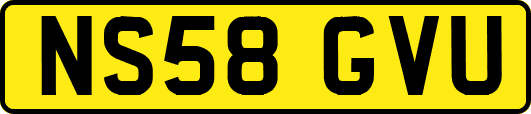 NS58GVU