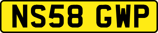 NS58GWP