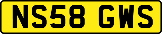 NS58GWS