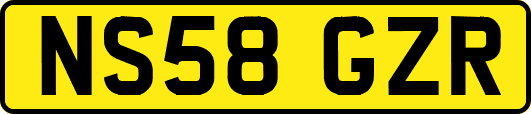 NS58GZR