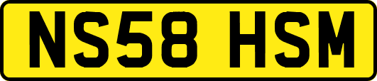 NS58HSM