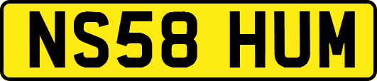 NS58HUM