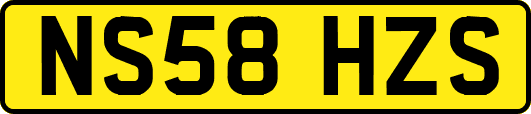 NS58HZS
