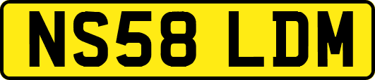 NS58LDM