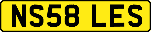 NS58LES