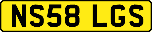 NS58LGS