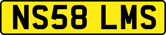 NS58LMS