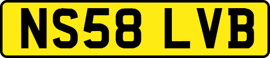 NS58LVB