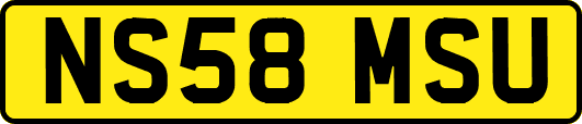 NS58MSU