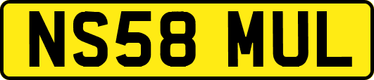NS58MUL