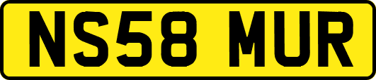 NS58MUR