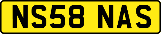 NS58NAS