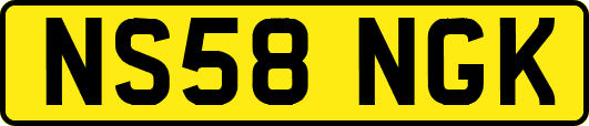 NS58NGK