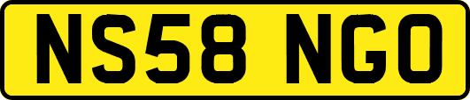 NS58NGO