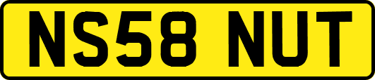 NS58NUT