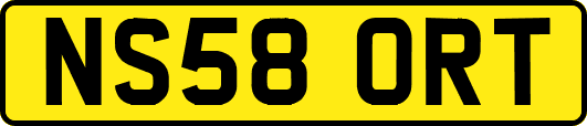 NS58ORT