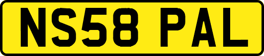 NS58PAL