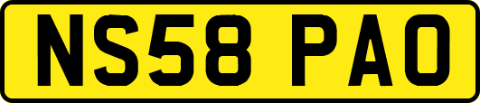 NS58PAO