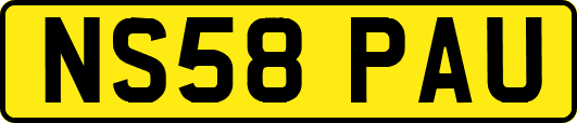 NS58PAU