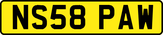 NS58PAW