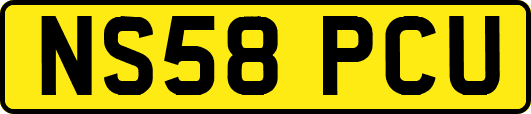 NS58PCU