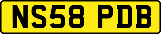 NS58PDB