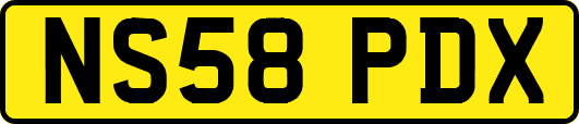 NS58PDX