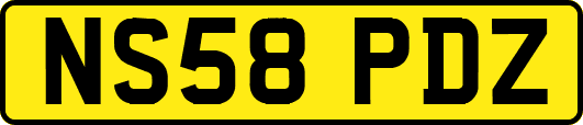 NS58PDZ