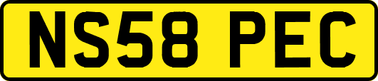 NS58PEC
