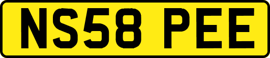 NS58PEE