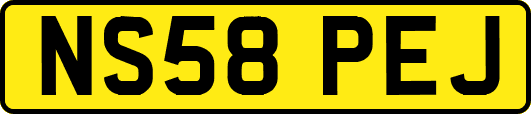 NS58PEJ