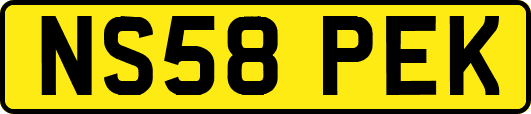 NS58PEK