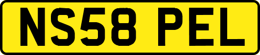 NS58PEL