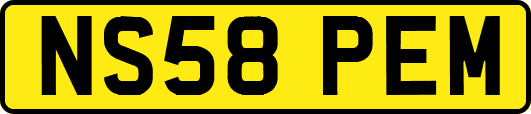 NS58PEM