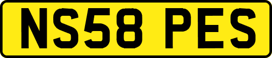 NS58PES
