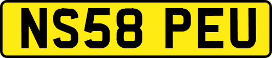 NS58PEU